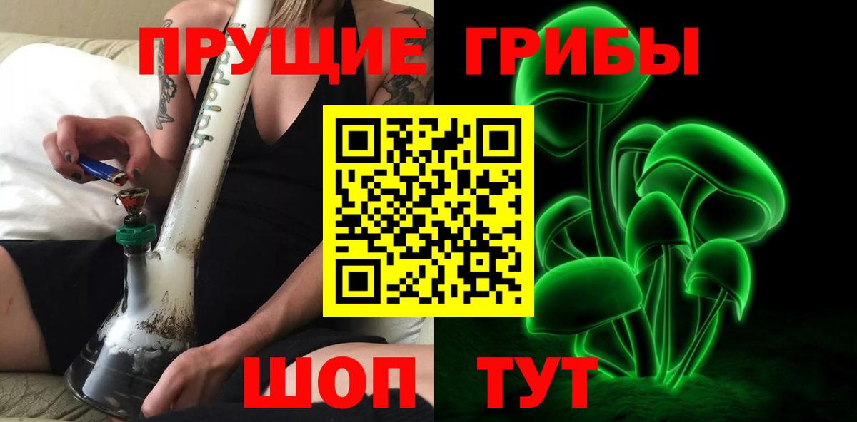 Псилоцибиновые грибы Cubensis Саянск