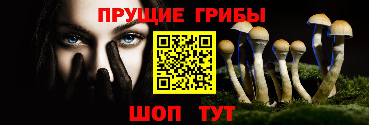 Галлюциногенные грибы MAGIC MUSHROOMS  Вход с VPN  Саянск 